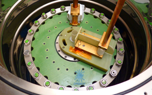 Oscillations quantiques universelles dans les cuprates supraconducteurs sous-dopés